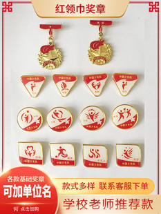 红领巾奖章徽章星级红领巾奖章一星章奖章印章盒子向阳立德基础章雏鹰章红领巾争章手册定制集体章特色章卡册