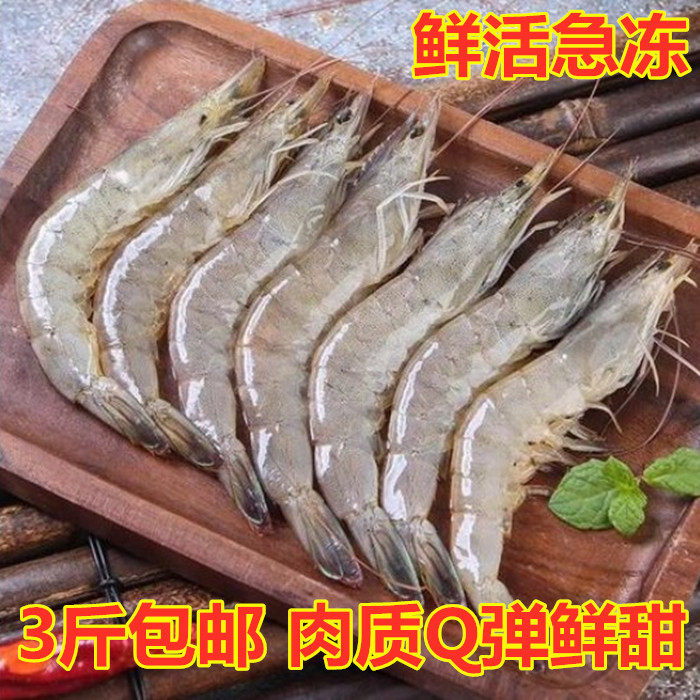 海捕鲜活海鲜水产冻虾基围虾冰虾对虾青虾白虾青岛大虾一斤装