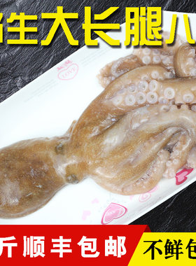 鲜活野生长腿香辣八爪鱼现捕现发