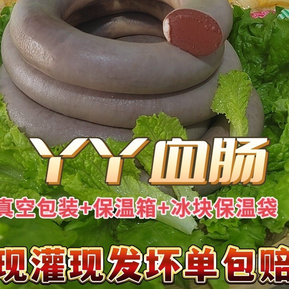 东北血肠猪肥肠血肠农家笨猪血杀新鲜豆类