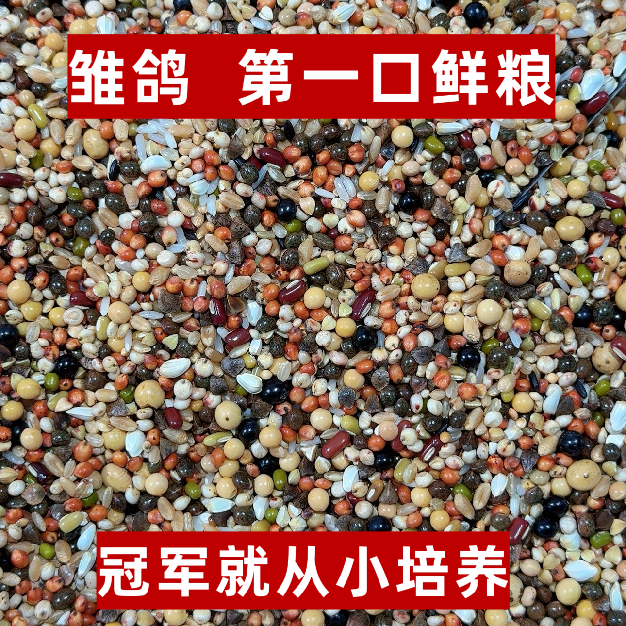 宏冠凤翼龙翔第一口鲜粮全能喷窝育雏50斤邮幼鸽观赏鸽赛鸽鸽子粮