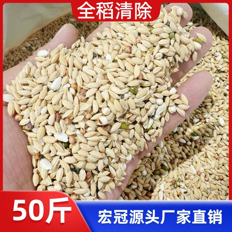宏冠知名品牌全稻清除绿豆夏季种鸽减肥家飞整袋包邮稻谷观赏鸽