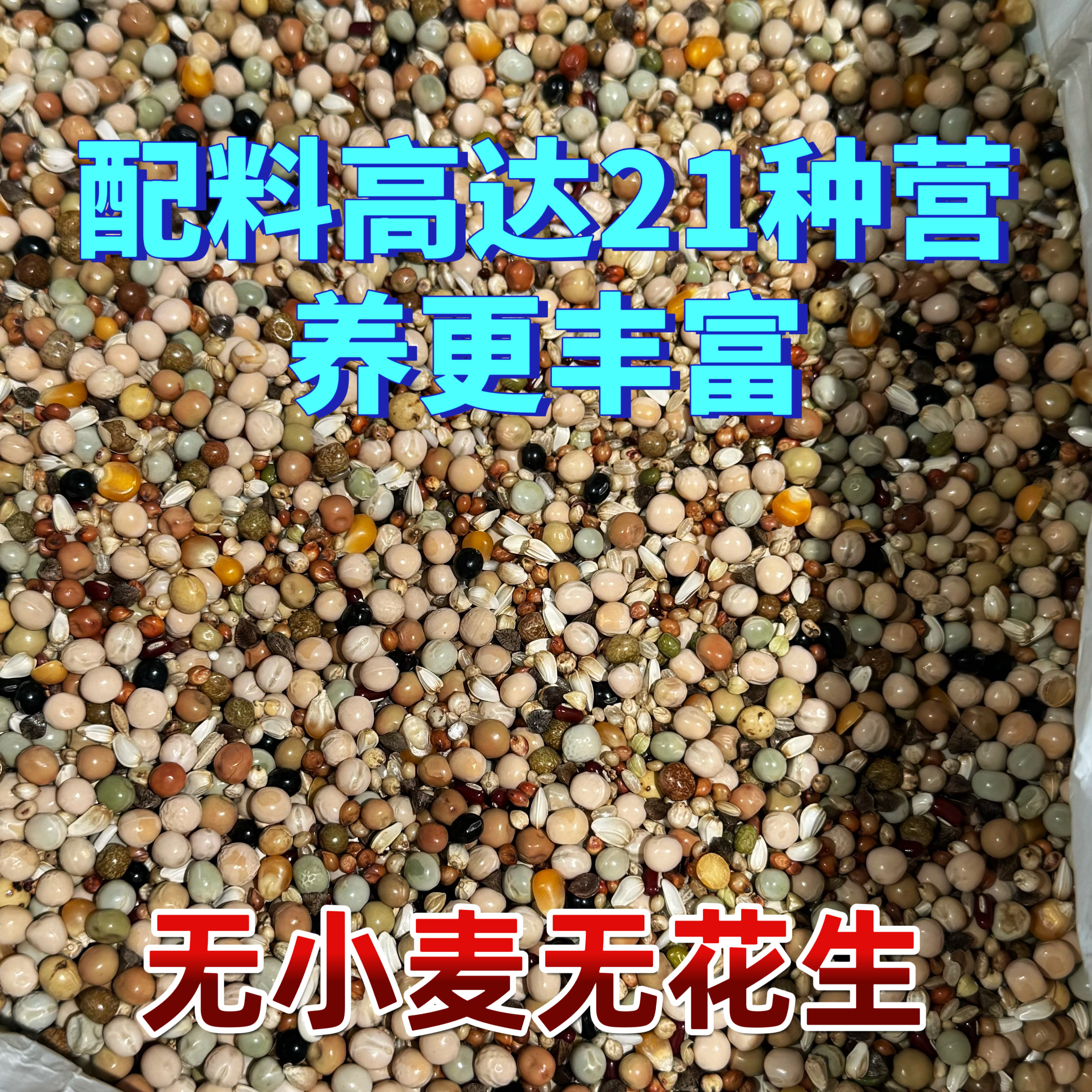 宏冠鸽粮无小麦精品幼鸽50斤包邮新鲜原粮赛飞种鸽观赏鸽无玉米