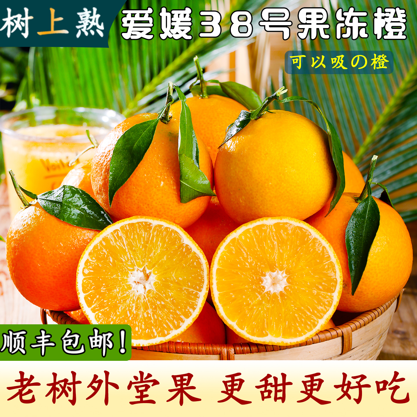 顺丰现货包邮爱媛果冻橙