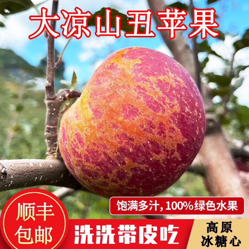 云南95mm苹果冰糖心丑苹果