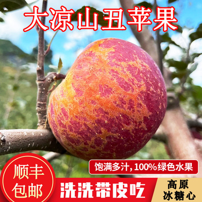 云南95mm苹果冰糖心丑苹果