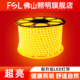 佛山照明led灯带户外防水220v客厅外墙专用工程室外暖光高压灯条