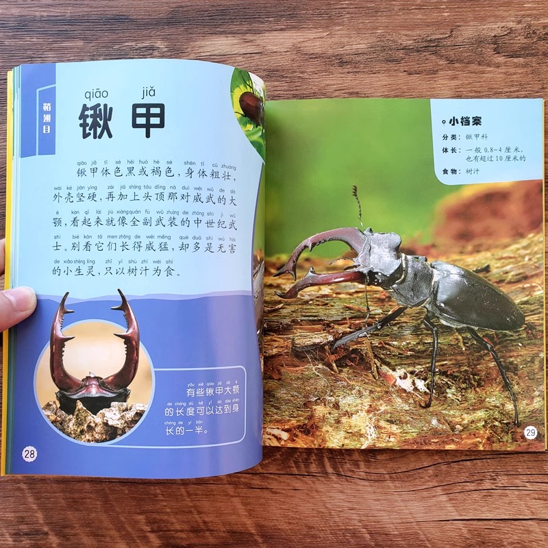 儿童昆虫科普百科全书