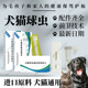 犬猫球虫病抗原检测卡狗狗猫咪宠物球虫病抗原快速检测试纸