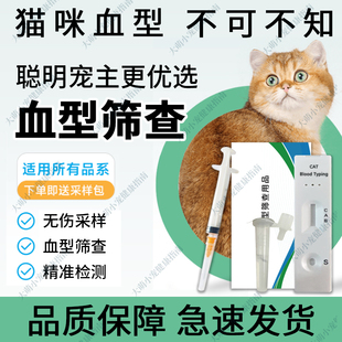 猫咪血型抗原快速检测卡猫舍宠物猫咪居家自测血液一次性筛查用品