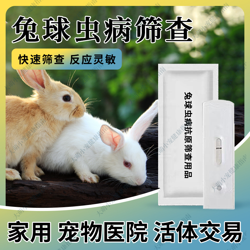 兔球虫病病抗原快速检测卡异宠健康检测仓鼠蝾螈宠物快速检测试纸