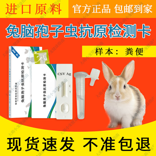 兔脑孢子虫抗原快速检测卡动物园异宠可爱兔子健康一次性筛查用品