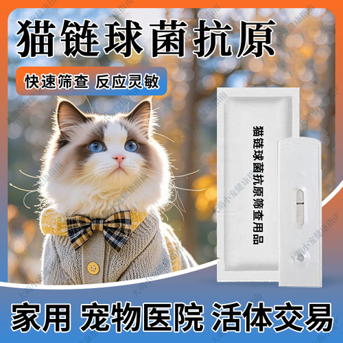 猫链球菌病毒抗原快速检测卡宠物用品粪便猫泌尿系统感染检测