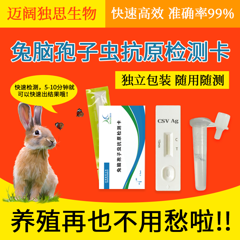 兔脑孢子虫抗原快速检测卡动物园异宠可爱兔子健康一次性筛查用品