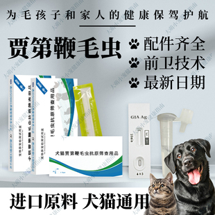 犬猫贾第鞭毛虫抗原快速检测卡狗狗猫咪宠物用品粪便检测宠物医院