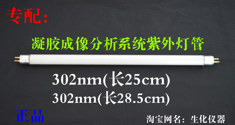 中波UVB:凝胶成像紫外分析仪灯管 302nm-312nm紫外线灯管 6W/8W