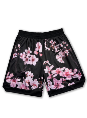 街头篮球裤国潮运动裤篮球短裤男女街球短裤训练跑步裤速干库里