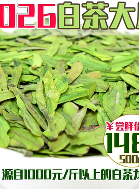 现货2026年新茶明前特级新昌大佛龙井白茶片碎片散装绿茶茶叶500g