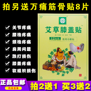 济善堂艾草膝盖医用冷敷贴12片关节炎肩周颈椎腰椎挫伤正品买2送1