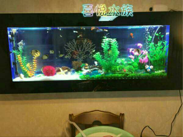厂销生态壁挂式挂壁式鱼缸水族箱 台式墙上墙壁亚克力金鱼缸97