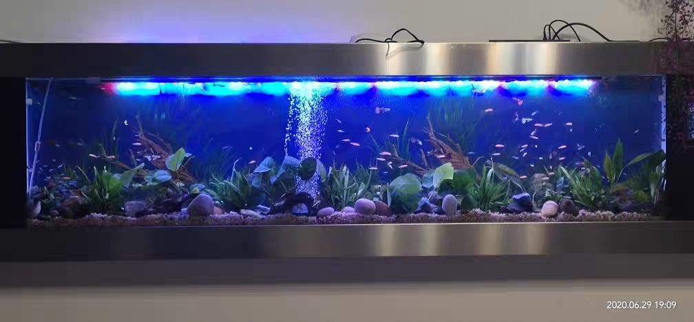 生态鱼缸亚克力玻璃墙壁水族箱
