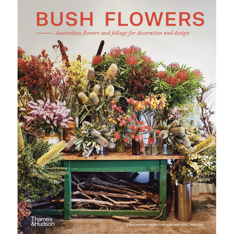 【现货】英文原版Bush Flowers灌木花Thames & Hudson Australia  Cassandra Hamilton 用于装饰和设计的澳大利亚花卉和树叶书籍