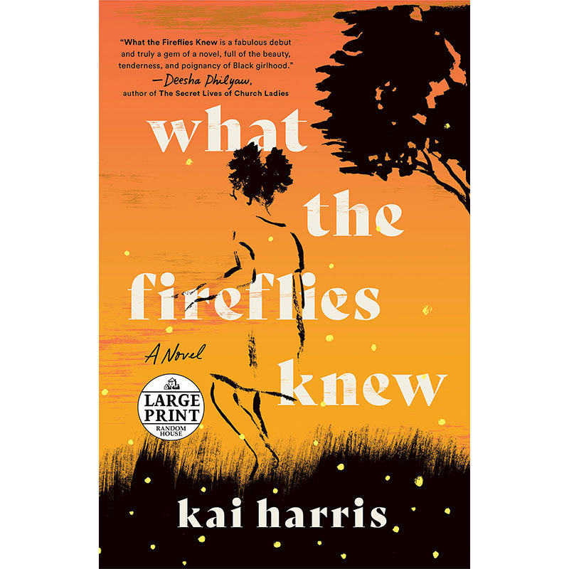 【预售】英文原版 what the fireflies knew 萤火虫知道什么 kai