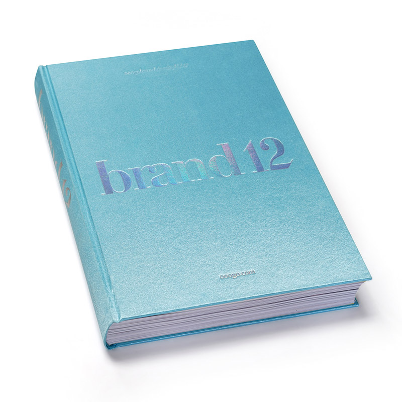 【现货】brand12 品牌的诞生 第十二卷品牌视觉设计年鉴年度创作作品集视觉设计案例CI VI 包装标志字体平面设计书