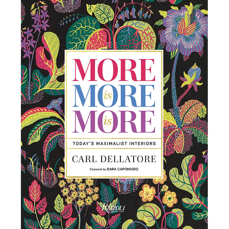 【预售】英文原版 more is more is more 再多就是多余 rizzoli carl