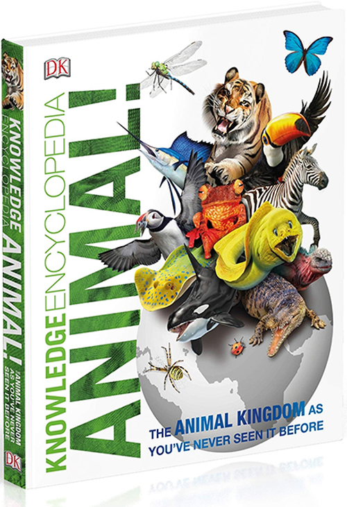 【现货】英文原版 DK知识百科动物 Knowledge Encyclopedia Animal DK出版 青少年启发学习儿童科普百科书籍