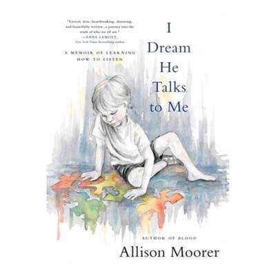 【预售】英文原版 I Dream He Talks to Me 我梦见他和我说话Allison Moorer 学习如何倾听回忆录自闭症患者故事疗愈文学小说书籍