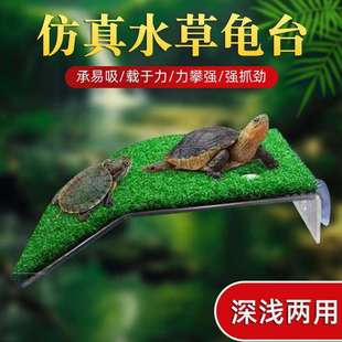 乌龟晒台爬台鱼缸龟缸爬坡亚克力吸盘高水位休息深水浮岛晒背浮台