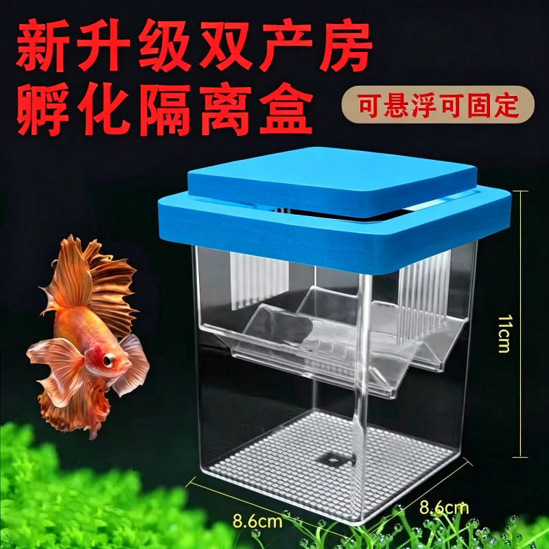 方形漂浮孵化隔离盒繁殖盒鱼缸内小型幼鱼母鱼孵化器孔雀鱼繁殖器