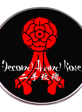 二手玫瑰摇滚乐队胸针龙姨嘻哈朋克音乐别针金属合金徽章配饰