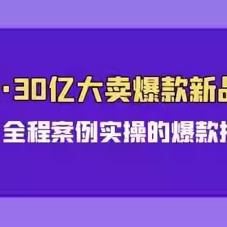 亚马逊30亿·大卖爆款新品推广可复制、全程案例实操SOP