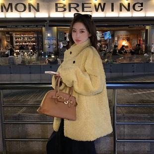 皮草女2025新款皮毛一体高级感羊羔毛外套冬季加厚立领毛毛大衣