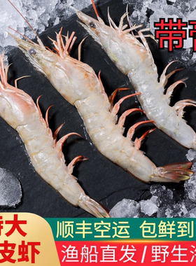 野生滑皮虾条虾鹰爪剑虾鲜活