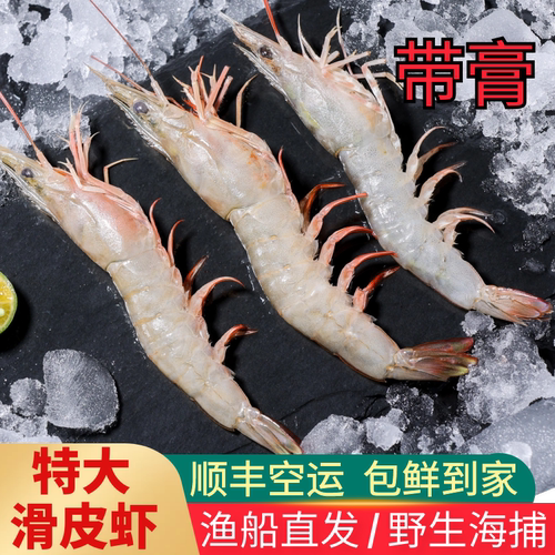 野生滑皮虾条虾鹰爪剑虾鲜活