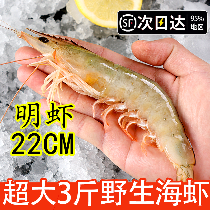 野生海捕特大对虾青虾明虾