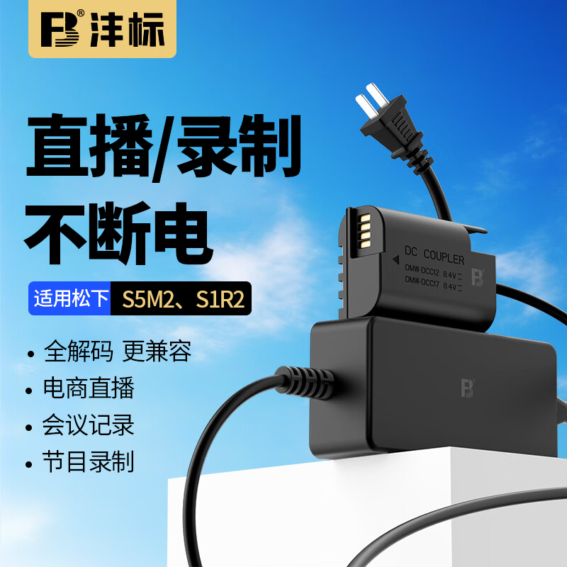 沣标BLK22假电池适用松下S5M2