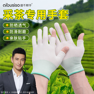 采茶专用手套夏季防晒凉感小号采茶叶女士超薄透气露二指防护神器