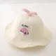 Жирный дельфиновый рисовый цвет