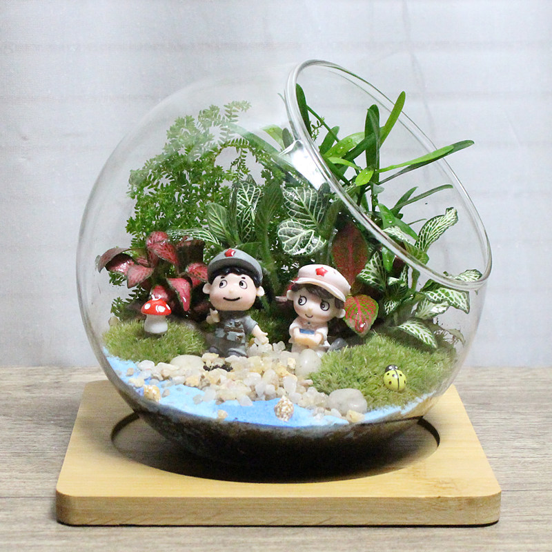 包邮 苔藓微景观 苔藓瓶 生态瓶 创意绿植 微景观生态瓶 小盆栽
