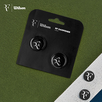 RF系列避震器威尔胜两只装