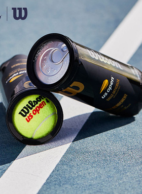 Wilson威尔胜官方美网法网比赛级多场地网球配件3只罐装网球