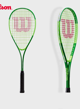 Wilson威尔胜官方轻量铝合金壁球拍男女训练休闲单人拍BLADE TEAM