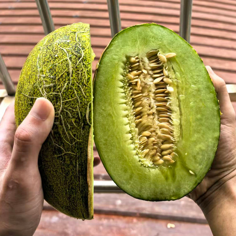 海南直发青帝甜瓜香瓜当季现摘蜜瓜网纹瓜3斤5斤新鲜水果,水产肉类/新鲜蔬果/熟食,甜瓜,淘宝优惠券,粉丝福利购,淘宝优惠卷