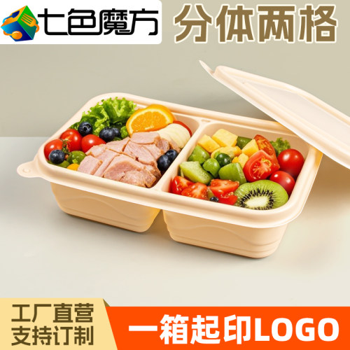 两格带盖双格快餐打包盒可定制