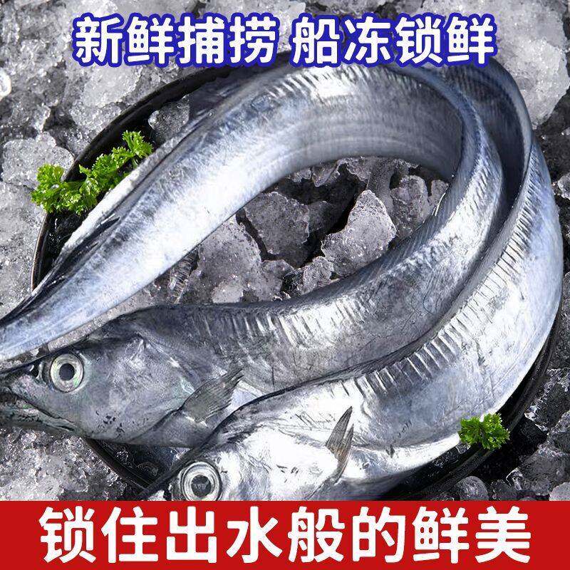 大连渤海湾刀鱼带鱼新鲜冷冻海捕旅顺大号整条小眼冷水刀鱼无冰衣图片