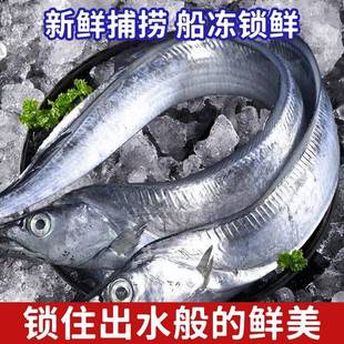 大连渤海湾刀鱼带鱼新鲜冷冻海捕旅顺大号整条小眼冷水刀鱼无冰衣